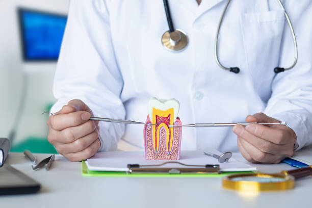 Best Broken or Cracked Tooth Emergency Dentist in Morningside, MD